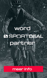 Word Partner